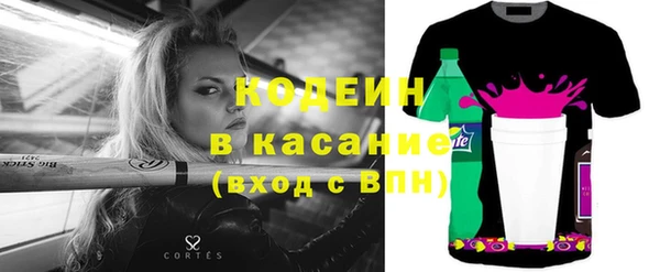 хмурый Абаза