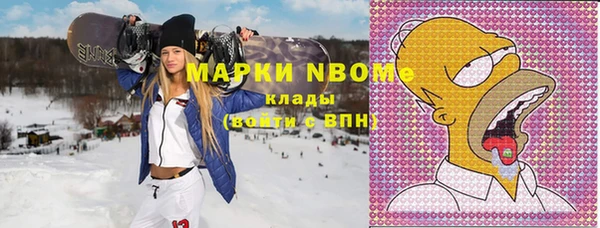 хмурый Абаза