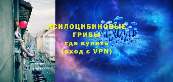 хмурый Абаза