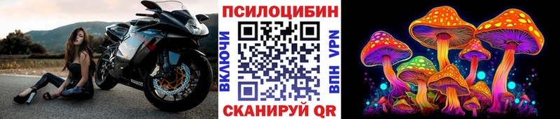 это официальный сайт  Зверево  Псилоцибиновые грибы MAGIC MUSHROOMS 
